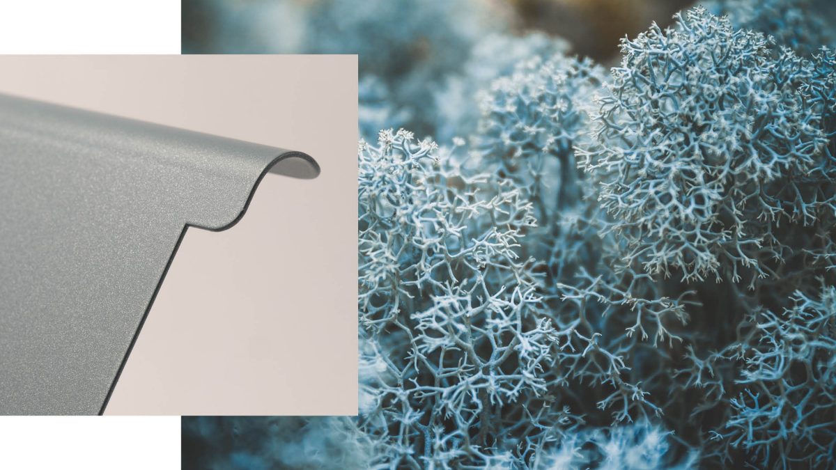 Arctic Ice ICONICA