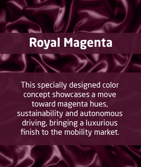 royal-magenta-detail-graphic