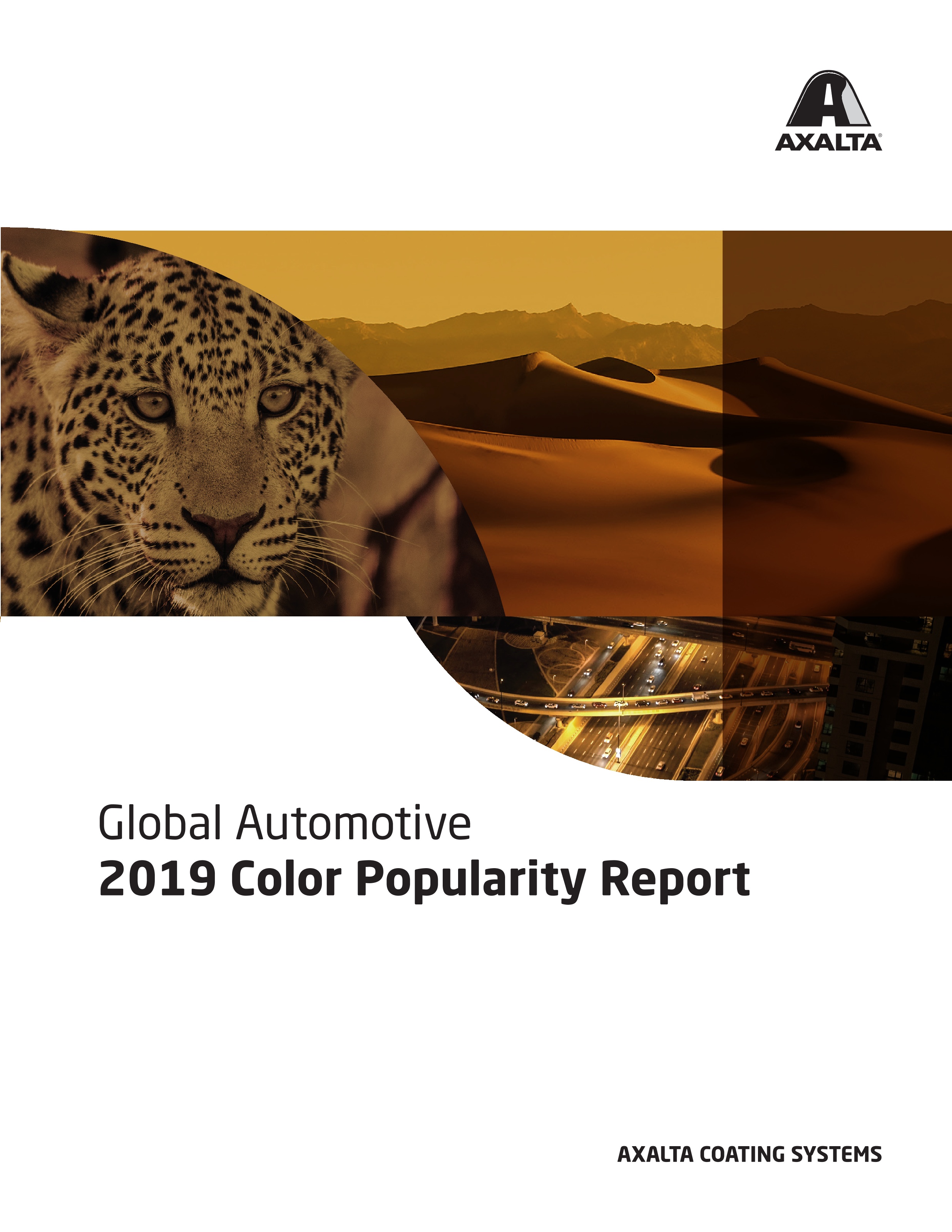 2019 Axalta Color Popularity Report