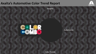 2019 Color Popularity Report