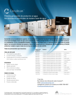 PIB_Cerulean_USLetter_Jun2024_ES_Interactive